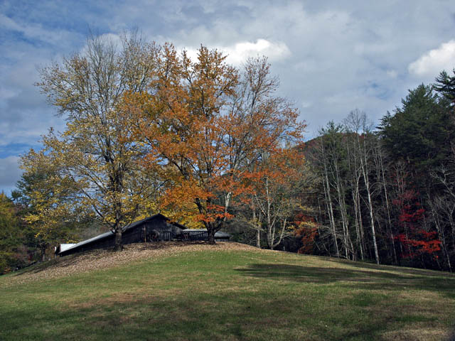 PICT0368.jpg