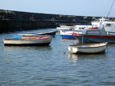 IMG_4496-e.jpg
