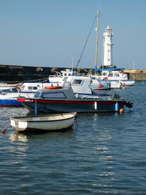 IMG_4498-e.jpg
