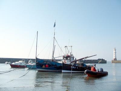 IMG_4510-e.jpg
