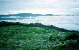 Epic Views of Endless Rice Terraces.jpg