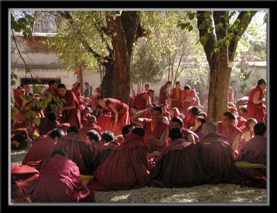 Debates at Sera Monastery 4