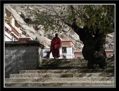 Sera Monastery 5