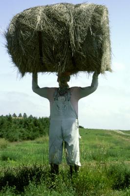 Farmer with Sense of Humor .jpg