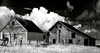 Old Barn Iowa .jpg
