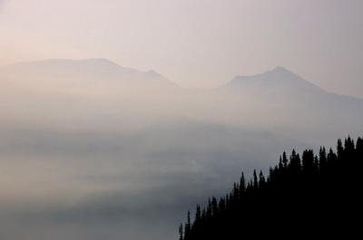 Montana Burned in 2001