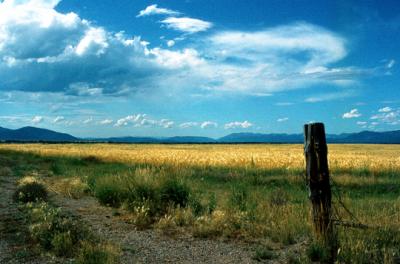 Montana Skies.jpg