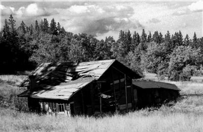 Terry Peak Shack Lead SD.jpg