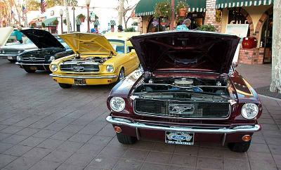 Mustang row