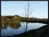 Connecticut River Reflections