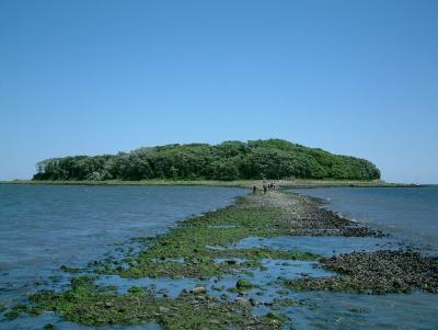 Charles Island near