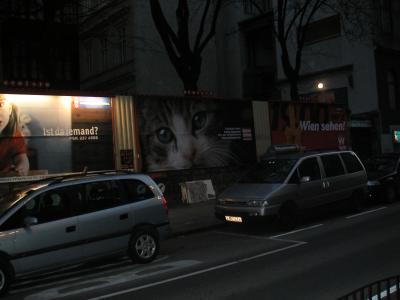 CatAd2.JPG