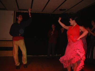 Flamenco (Spanish Bullfight Dance) I