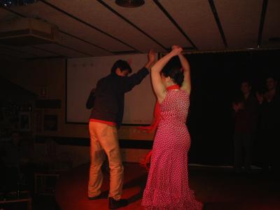Flamenco (Spanish Bullfight Dance) II
