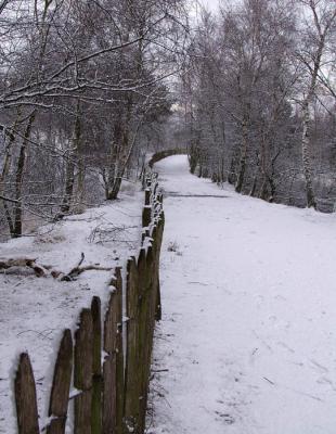 P1068601M.jpg