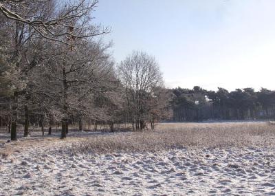 P1068640.Mjpg.jpg