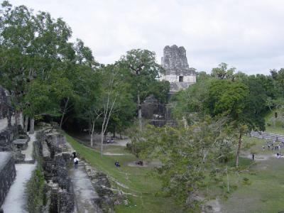 Tikal