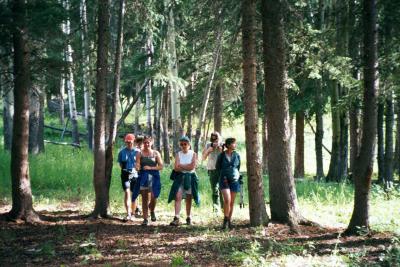 The wolf gang at release site.