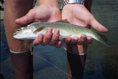 Lamar Canyon rainbow.