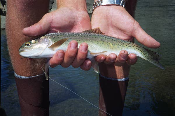 Lamar Canyon rainbow.