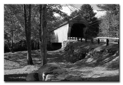 CRW_6198L