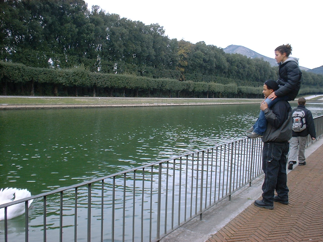 Scaring the Swan away