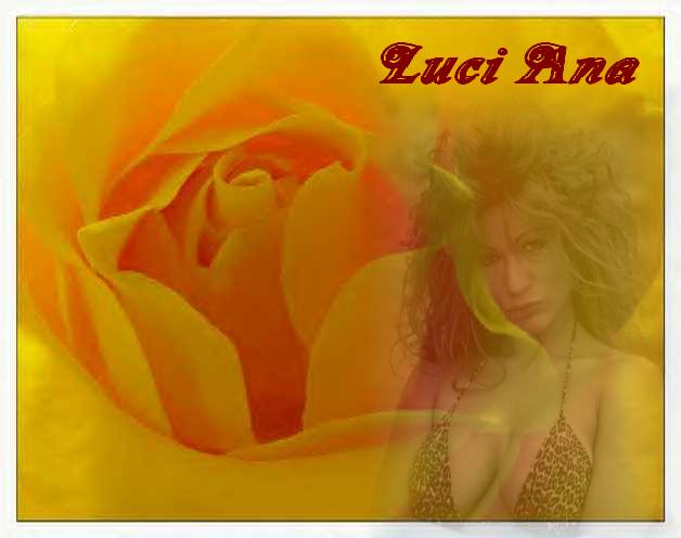 Luciana Yellow Rose