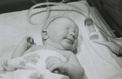 Brand new (< 1 hour old)