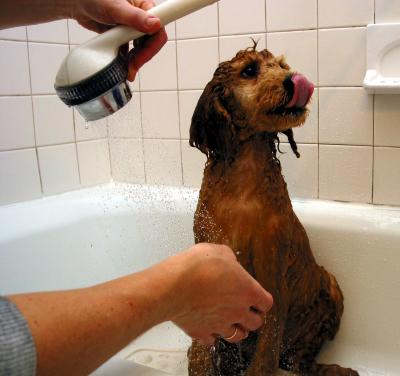 First Bath