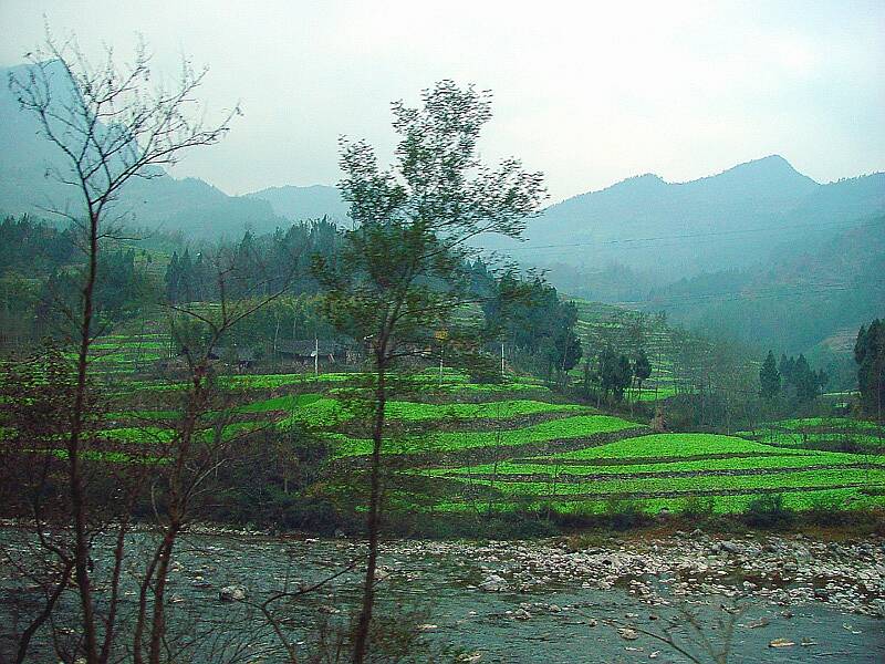 Ladder fields