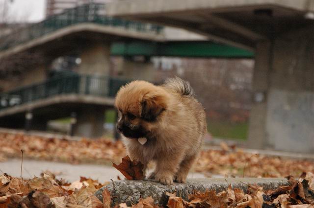 Nov30_04_495.JPG