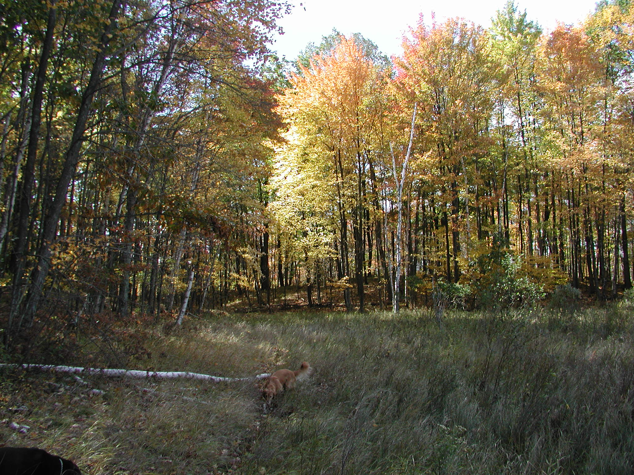 PA060006