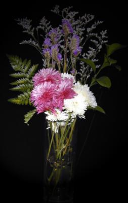 u23/bklyncmt/medium/12898879.2003B011.jpg