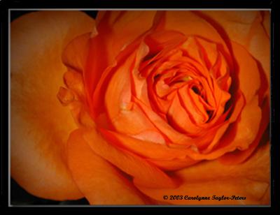  Enhanced ...