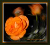 Motion filter