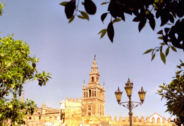 Seville Cathdral and the Giralda