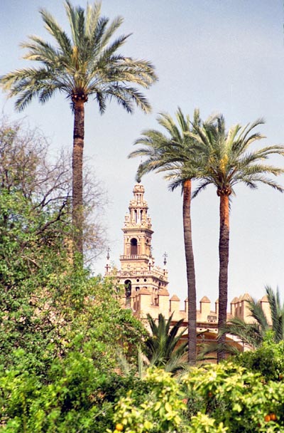 Jardines del Alacazar