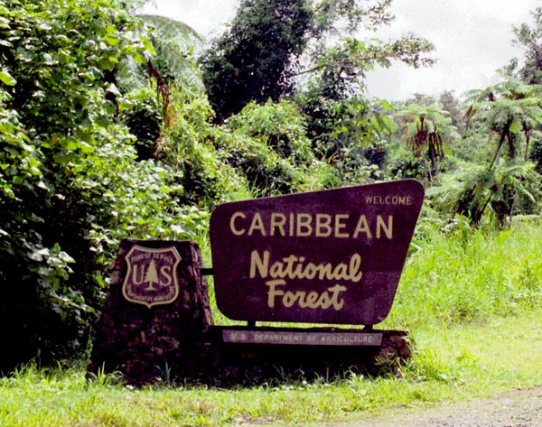 El Yunque rainforest, Puerto Rico