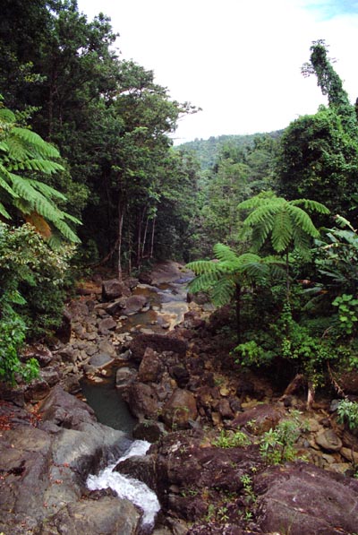 El Yunque