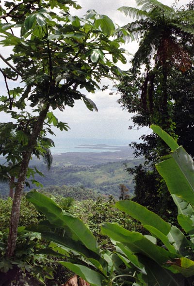 El Yunque