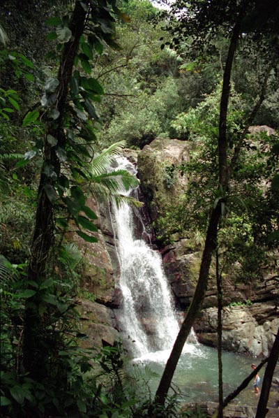 El Yunque