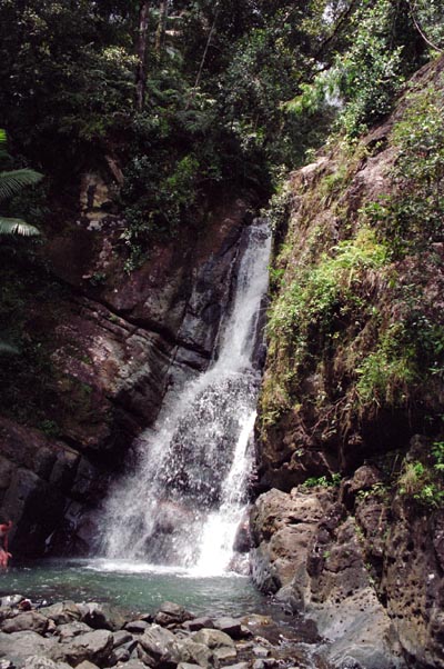 El Yunque