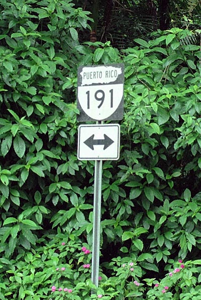 On the road to El Yunque