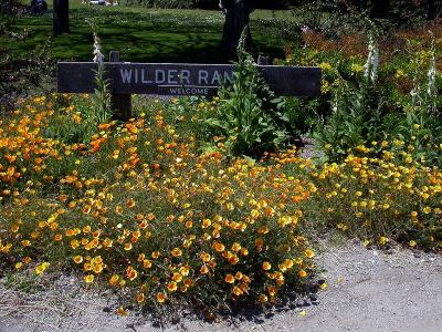 Welcome to Wilder Ranch State Park