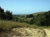 View of the coast