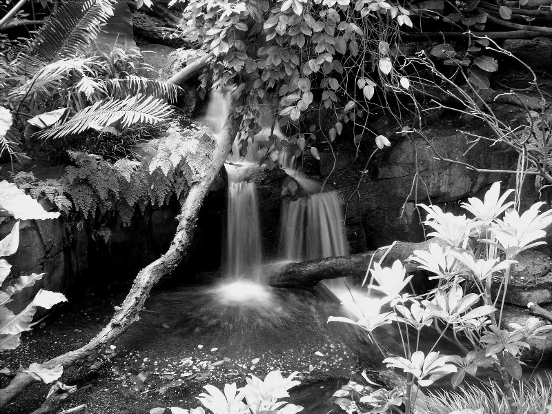 By A Waterfall