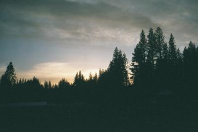 Meadow