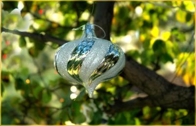 a bright and shiny Christmas morning