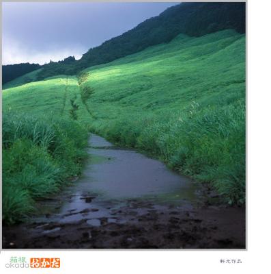 p green slope 01.jpg