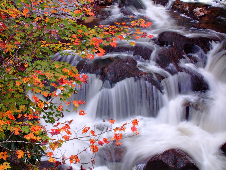 Cascades at Bull Pen